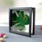 Muzilife 11x11 Shadow Box Picture Frame - 2.16" Interior Deep Wood & Glass Display Case Ready to Hang Memory Box Baby Sports Memorabilia, Wedding, Tickets, and Photos (Black)